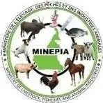 MINEPIA